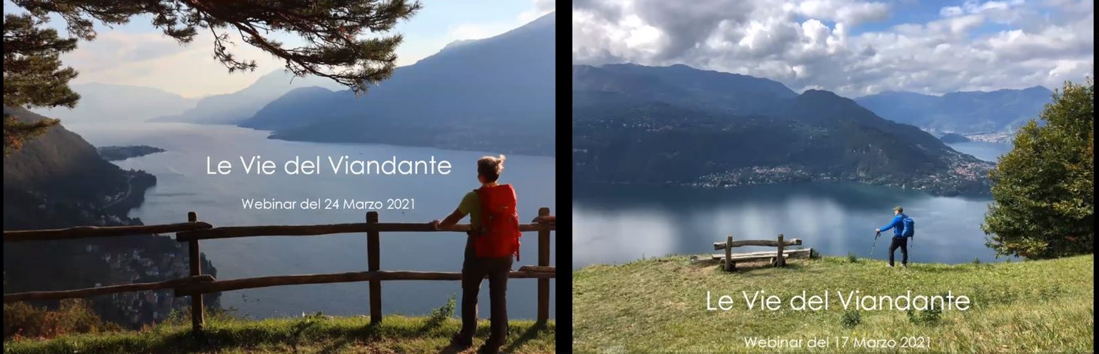 2103 webinar viandante