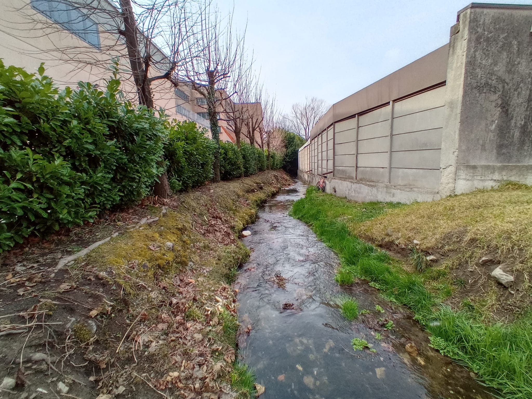 2202 torrente culigo2