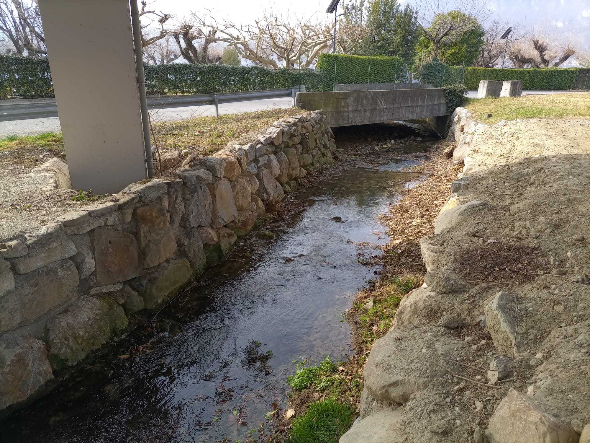 2202 torrente culigo4