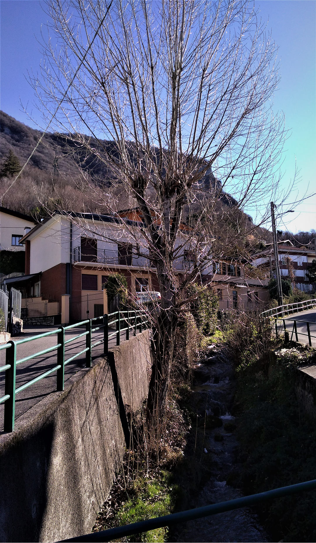 2202 torrente culigo prima ridotta