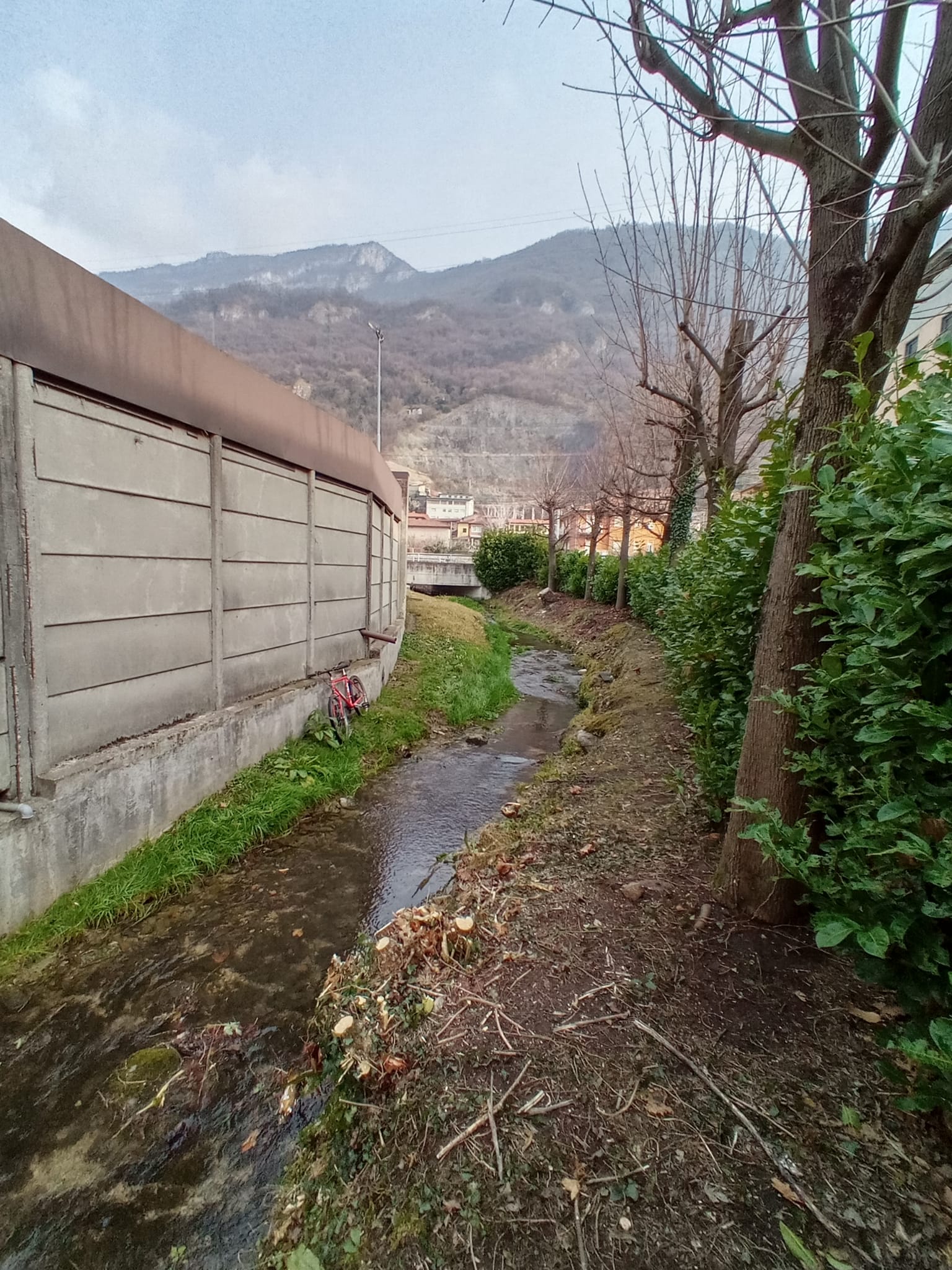 2202 volontari torrente culigo4