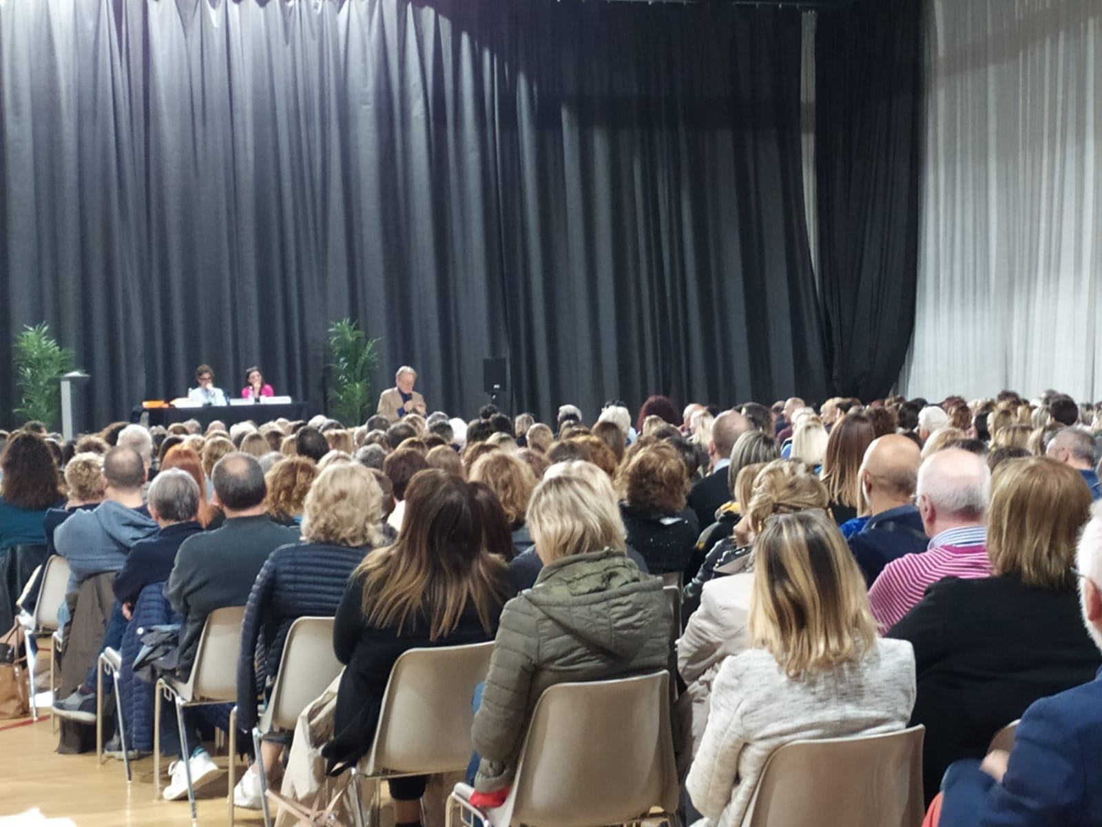 2305 serata morelli