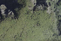 NA_05_0224