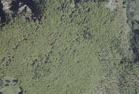 NA_05_0225