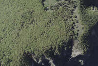 NA_06_0228