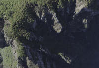NA_06_0231