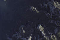 NA_07_0317