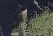 NA_07_0320