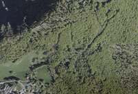 NA_07_0325