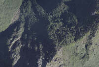 NA_11_0408