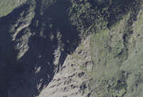 NA_11_0409
