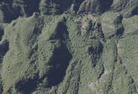 NA_12_0433