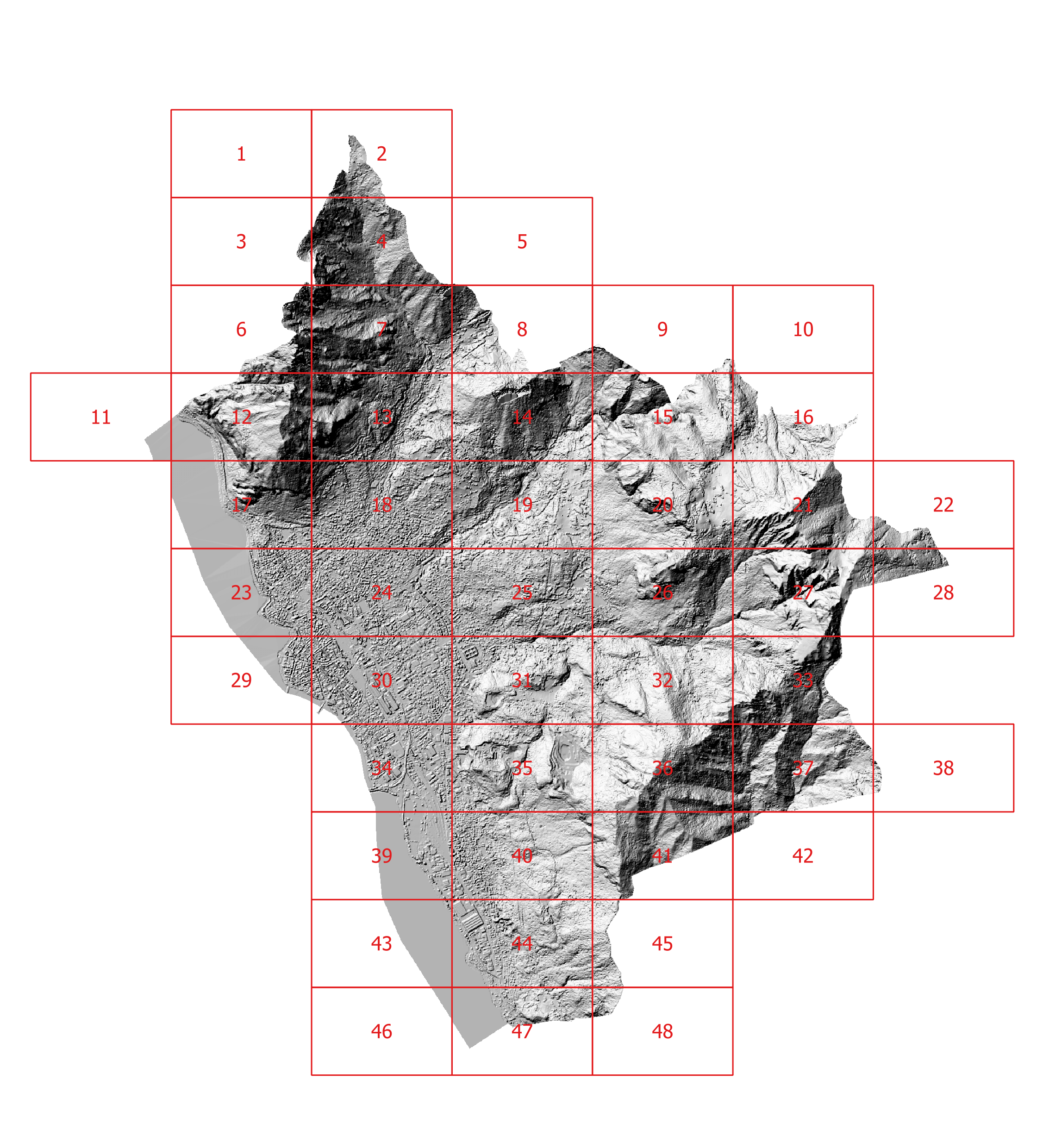 DSM digital surface model