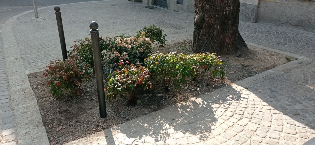 piazza padre cristoforo 3