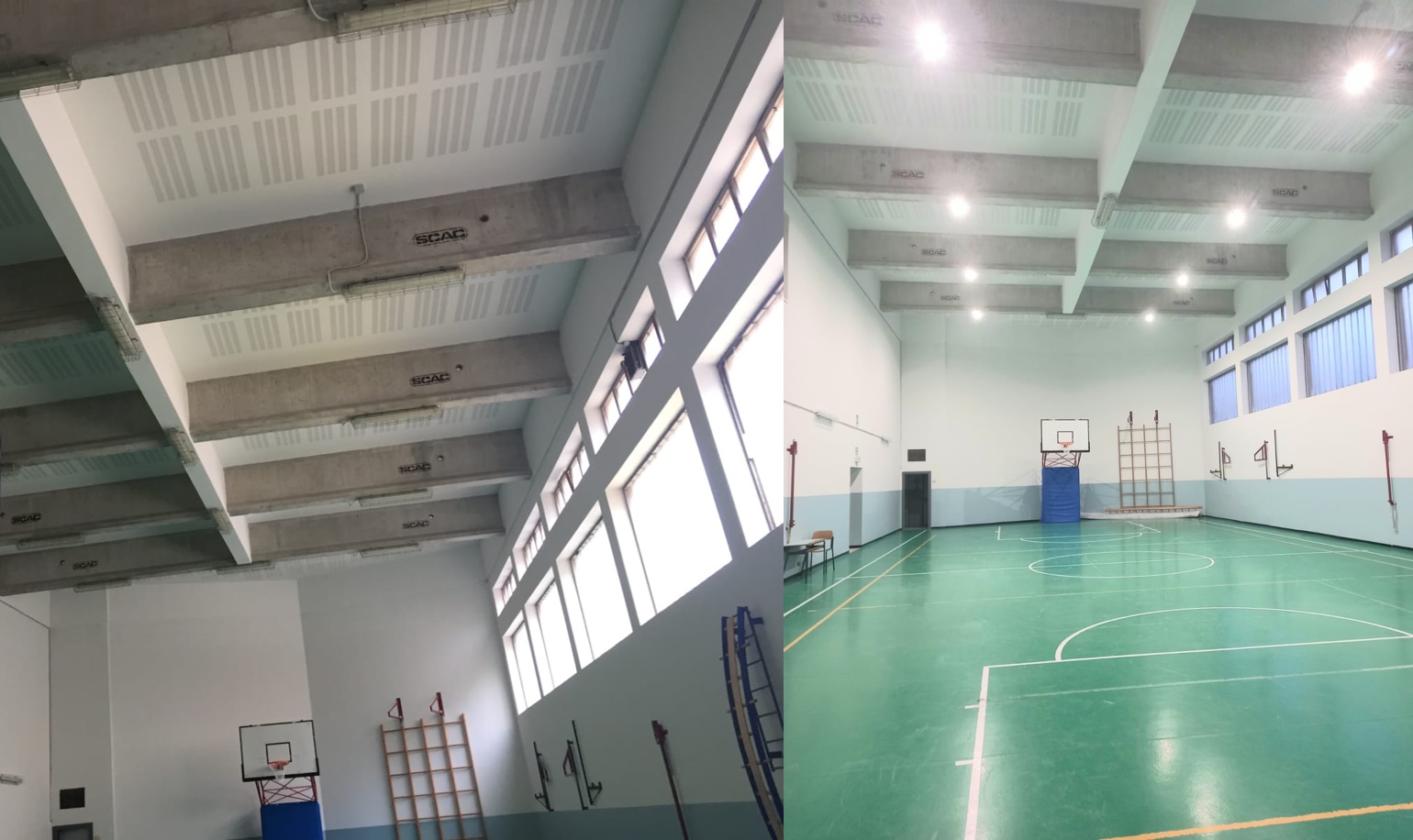 2103 palestra toti