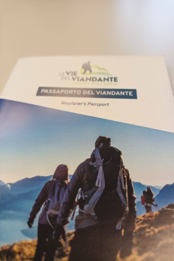 2203 webinar viandante 2