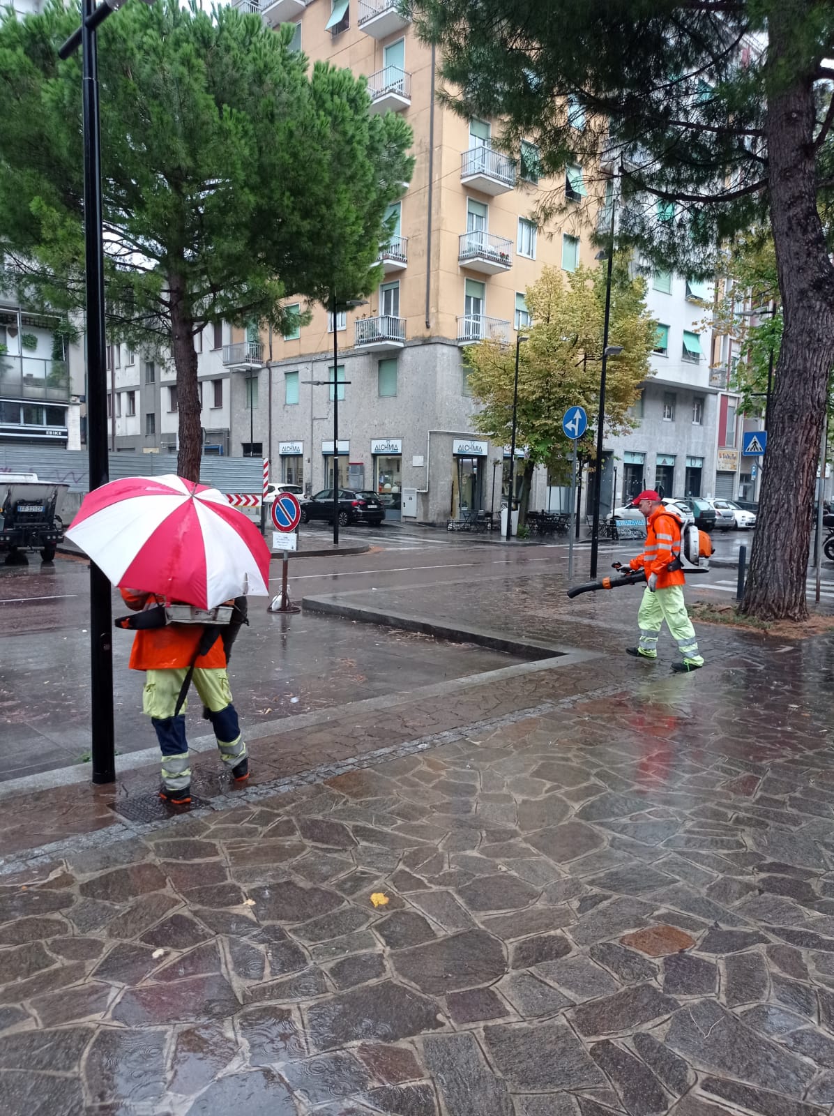 2208 pulizia viale turati 4
