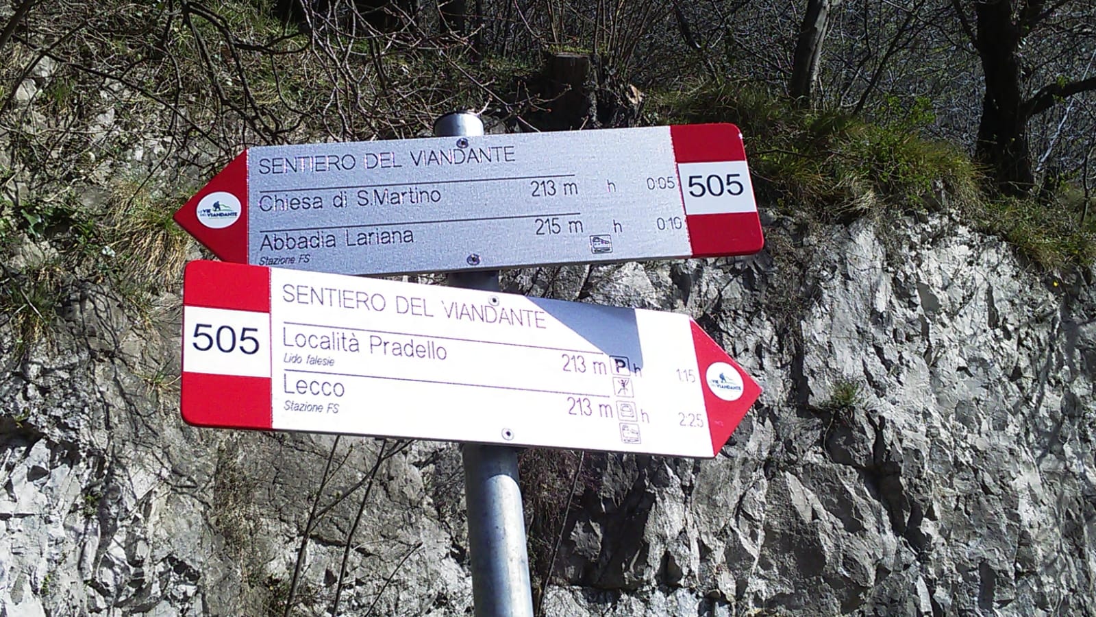 2304 viandante cartello