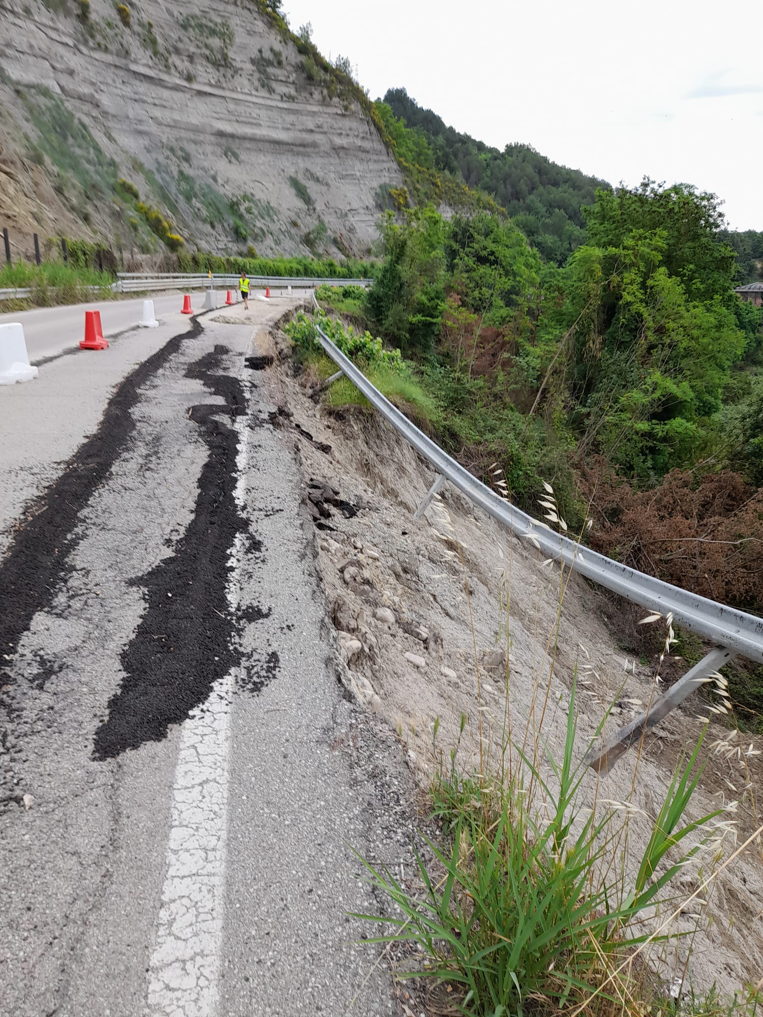 2306 modigliana lecco 13