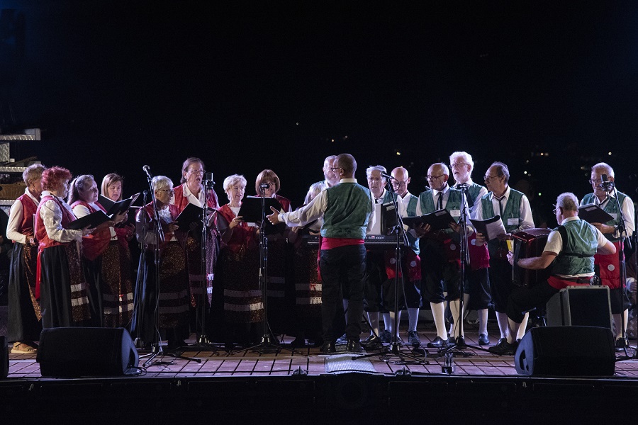 2309 lake arena folk 1