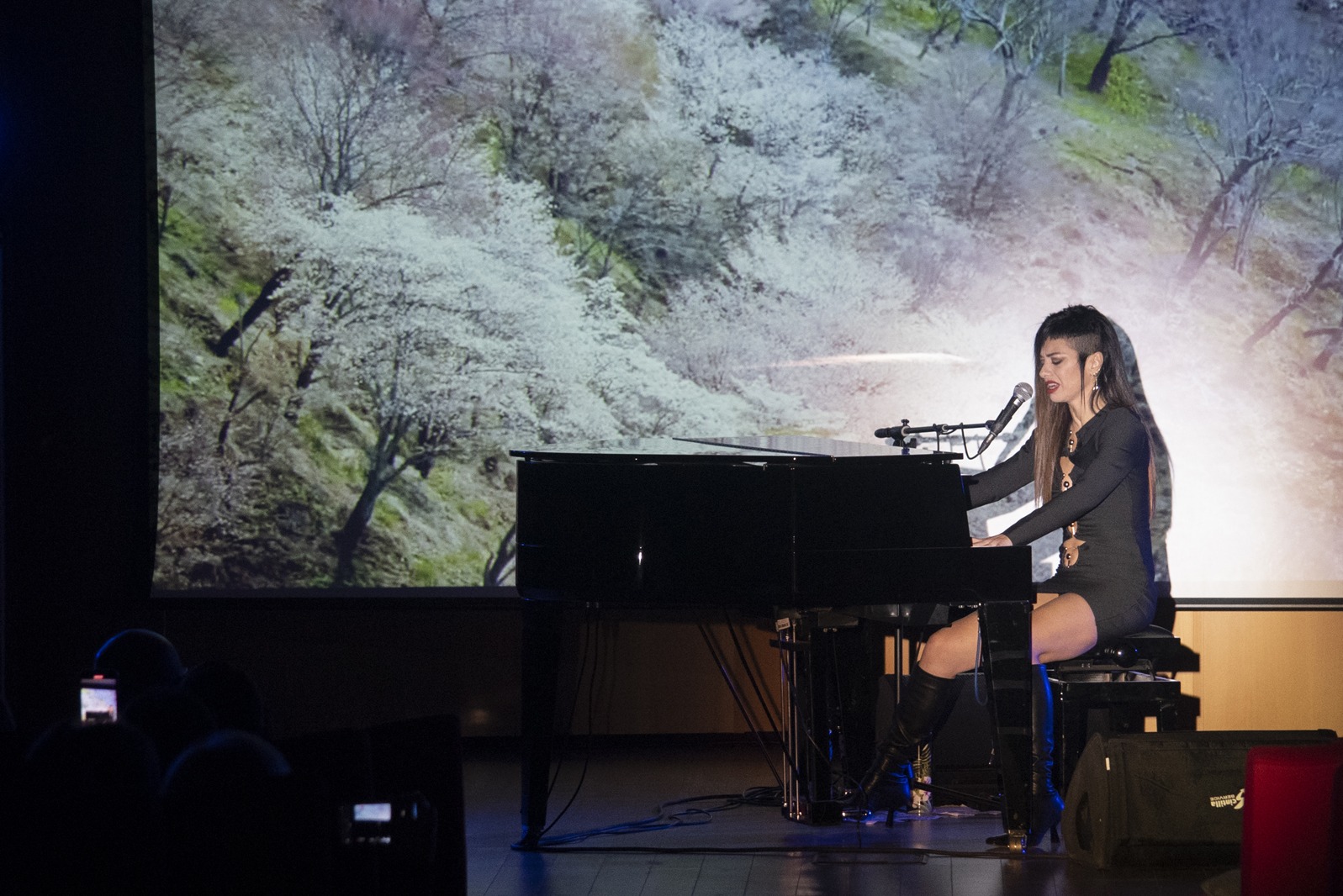2311 concerto dolcenera 1