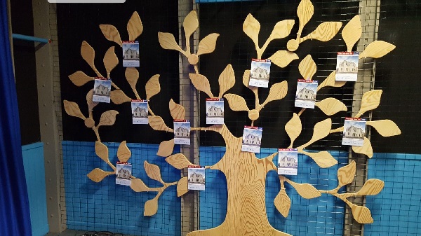 16.1 albero solidarietà