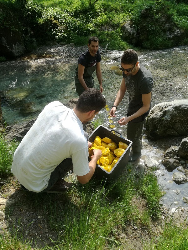 18.4 sassi gialli